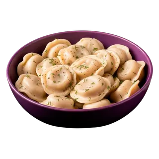 Chicken Dumplings